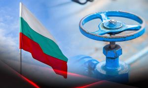 Болгария договорилась о покупке сжиженного природного газа у США по ценам ниже, чем у «Газпрома»