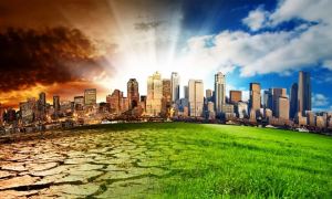 В ООН сообщили о рекордных показателях глобального изменения климата