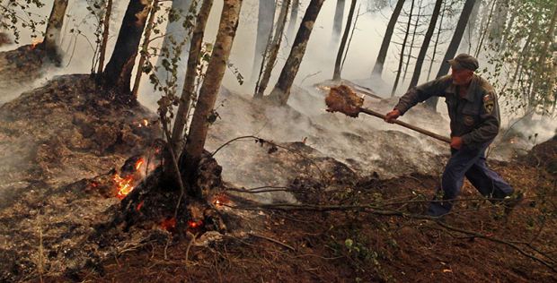 Мэр Москвы заявил о разрастании лесных пожаров в Рязанской области