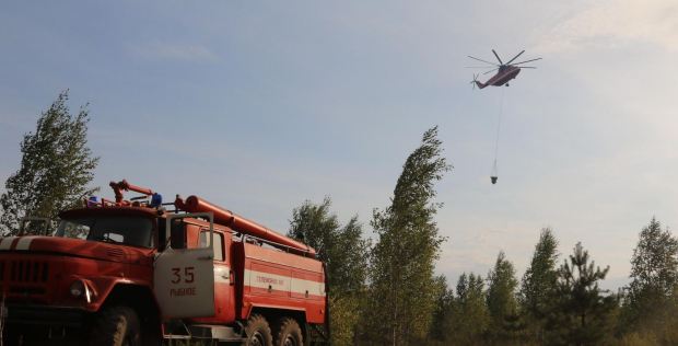 Российские власти винят поджигателей в мощных лесных пожарах. Огонь подступает к Москве