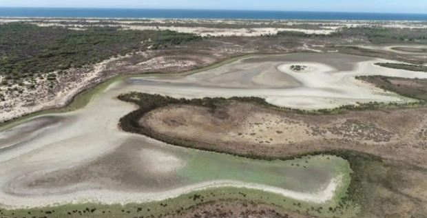 Засуха превратила озеро в жизненно важной испанской заболоченной местности в лужу