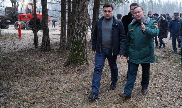 Воробьев и жуки