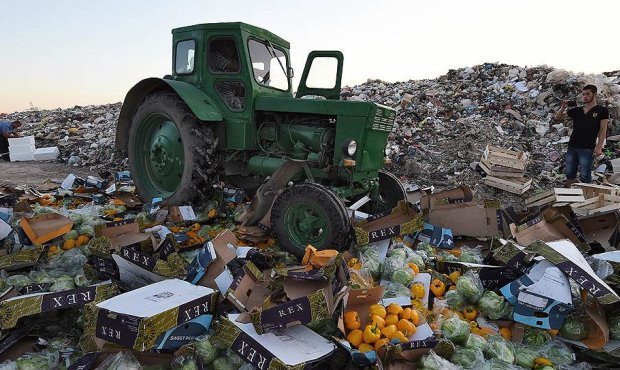 Год под бульдозерами