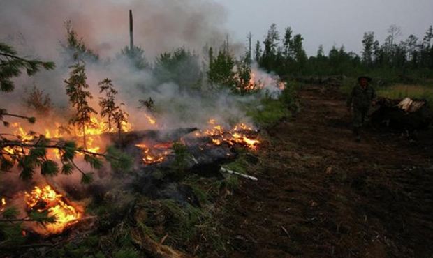 В Якутии площадь лесных пожаров увеличилась до 572 тысяч гектар
