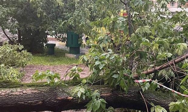 В Москве в результате урагана один человек погиб и еще 10 пострадали