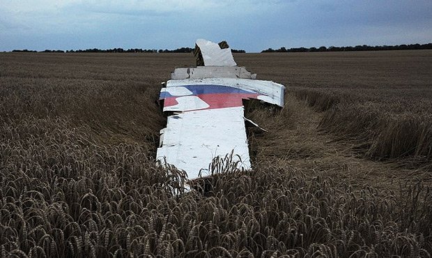 Имена виновников крушения самолета под Донецком назовут до конца года