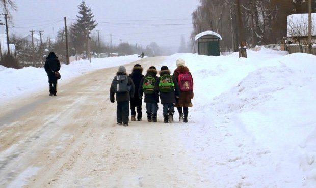 В забайкальском поселке после отмены автобуса дети вынуждены ходить в школу пешком через лес