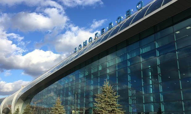 В московском аэропорту «Домодедово» установят рамки для проверки трезвости