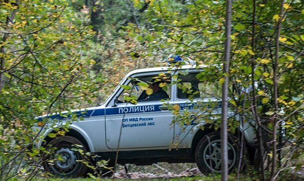 В Битцевском парке Москвы нашли тело женщины и останки мужчины