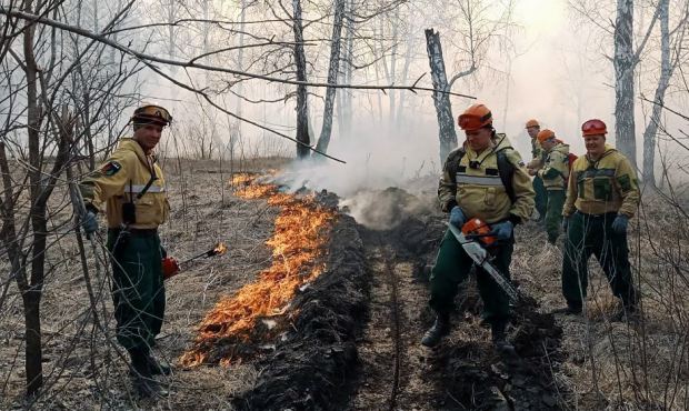 В Омской области ввели режим ЧС из-за пожаров