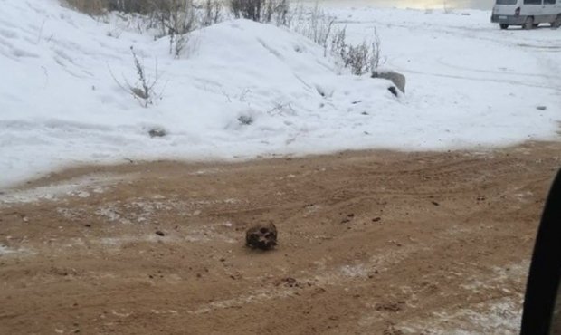 В Иркутской области коммунальщики посыпали скользкую дорогу песком с человеческими останками