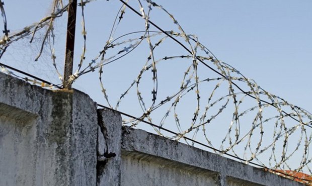 Заключенные красноярской колонии №31 массово пожаловались на пытки