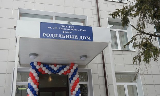 В Москве арестовали экс-заведующую роддома №27, на которую жаловались роженицы