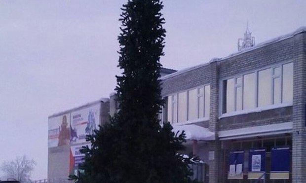 В центре Ноябрьска установили новогоднюю елку похожую на фаллос  