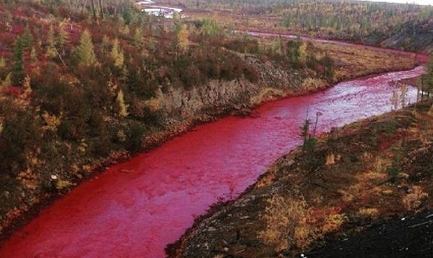 «Норильский никель» признал вину в окрашивании реки Далдыкан в красный цвет