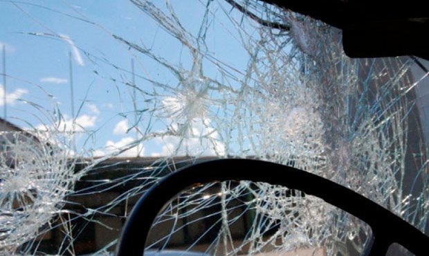 В Краснодарском крае автобус с пассажирами врезался в дерево. Погибли три человека