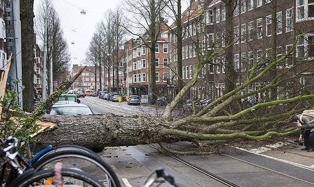 Ростуризм предупредил российских туристов об опасности из-за урагана в Голландии и Бельгии