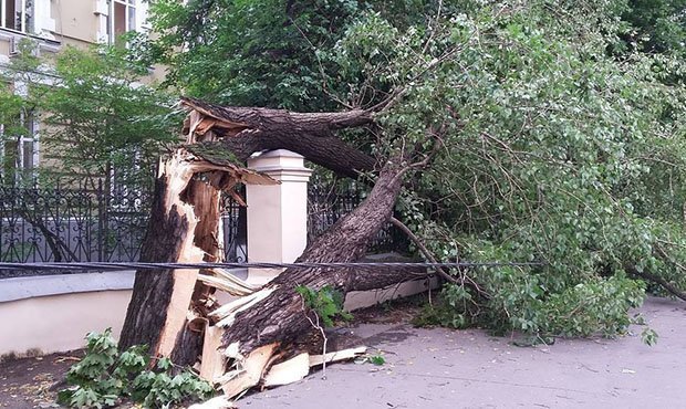 В Москве и области объявлен «оранжевый» уровень опасности из-за гроз  