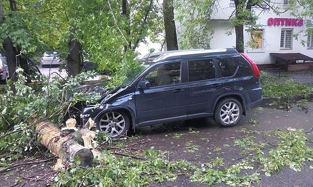 В МЧС России ответили на обвинения в отсутствии оповещения об урагане в Москве