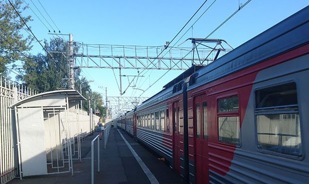 В Подмосковье кондуктор электрички высадил безбилетного ребенка в «глухом лесу»