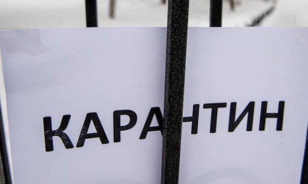 В Москве и Подмосковье ввели всеобщий режим изоляции