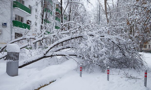 Московским школьникам разрешили не ходить на занятия из-за снегопада