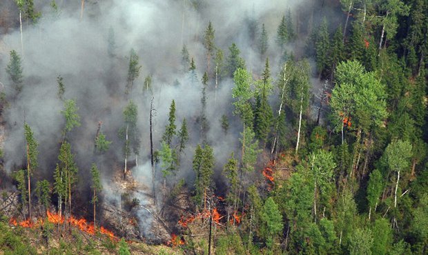 Власти Бурятии объявили о полной ликвидации лесных пожаров в регионе