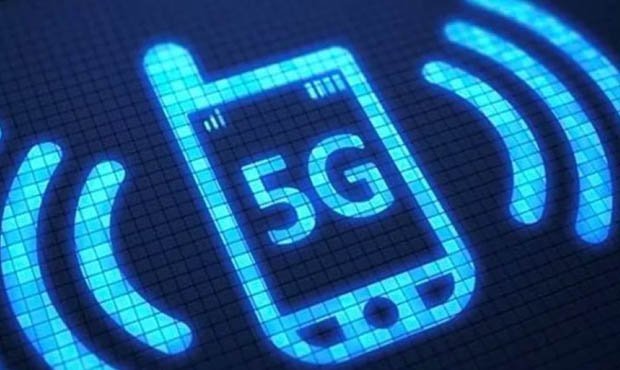 В Голландии после запуска сети 5G погибло более тысячи птиц