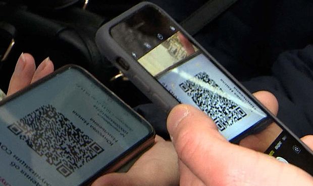 Власти Камчатки на время праздников отменяют систему QR-кодов в общественном транспорте