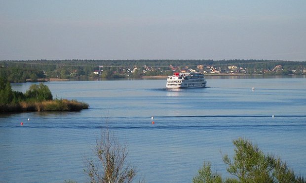 В Подмосковье во время празднования свадьбы утонула невеста