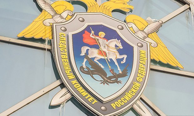 В Тюменской области подростка обвинили в экстремизме за оскорбление представителей власти