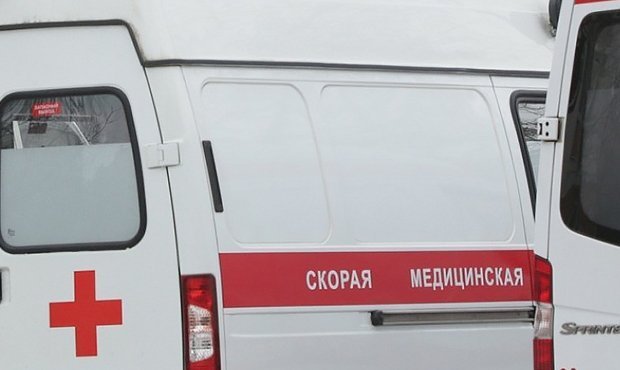В Новгородской области медики 8 километров несли носилки с парализованной пациенткой