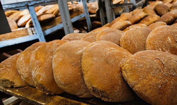 Цены на хлеб в октябре вырастут на 10% из-за подорожания зерна