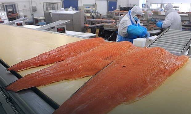 Эксперты предупредили о резком росте цен на лосось в российских магазинах