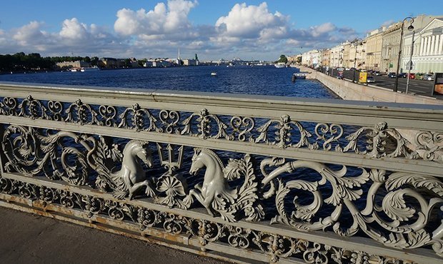 В Петербурге автомобиль пробил ограждение на набережной и упал в Неву