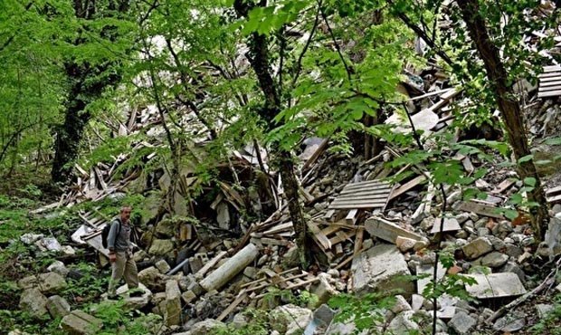 Экологи сообщили о вырубке краснокнижных деревьев недалеко от «резиденции патриарха»