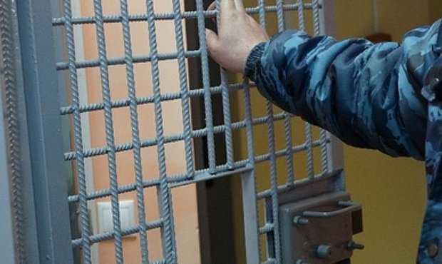 Депутаты от ЛДПР разработали «закон Васильевой» о наказании за подмену заключенных