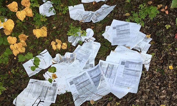 В забайкальском лесу обнаружили свалку из писем, выброшенных «Почтой России»