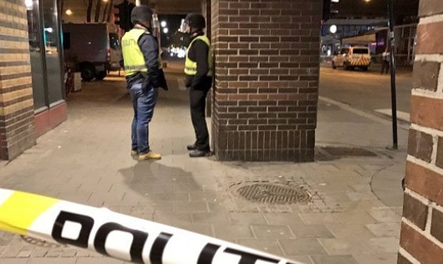 Суд Норвегии арестовал 17-летнего россиянина, подозреваемого в подготовке теракта