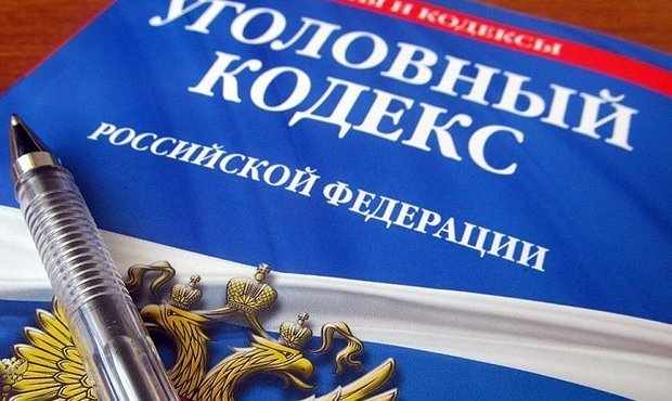 В Уголовном кодексе РФ появится статья за клевету на государство