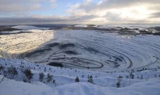 Власти разрешили вырубить ценный лес ради добычи руды группой Evraz