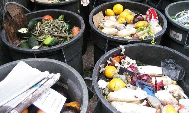Вице-премьер предложила направлять пищевые отходы торговых сетей и ресторанов на переработку