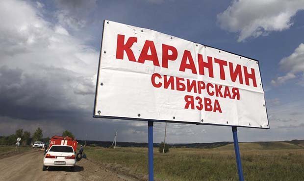 В ЯНАО с подозрением на сибирскую язву госпитализированы уже 13 человек