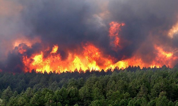 В Сибири площадь лесных пожаров за сутки выросла до 1,7 тысячи гектар