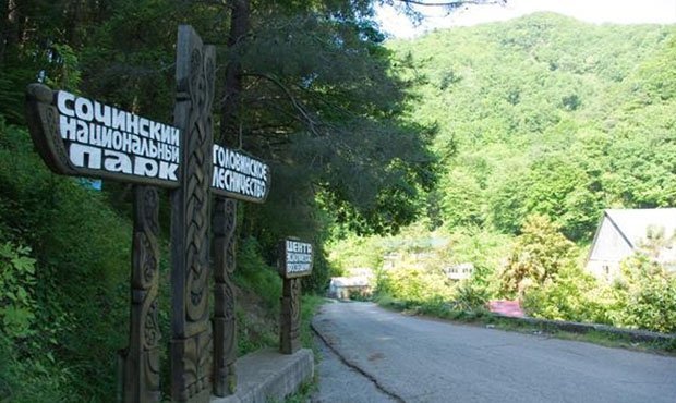 Новым директором Сочинского национального парка стала племянница Дмитрия Рогозина