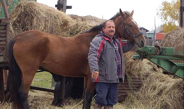 Камчатский депутат из-за высоких цен на бензин будет ездить на работу на лошади  