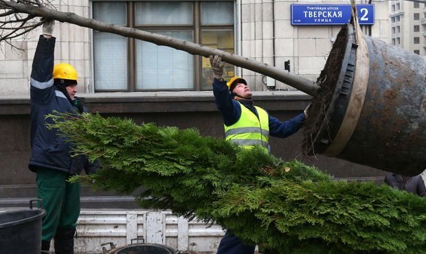 Московские власти с 1 ноября начнут озеленять отремонтированные улицы