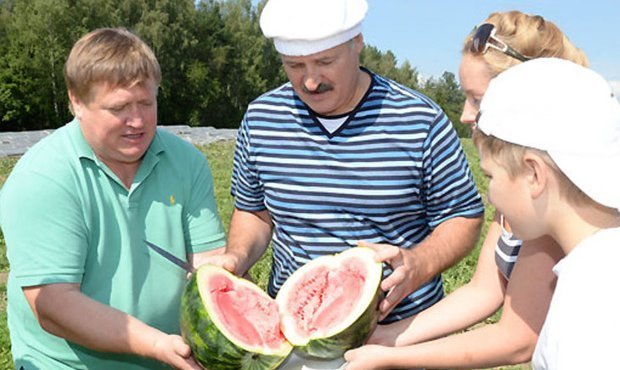 Россельхознадзор заинтересовался происхождением «белорусских» арбузов и папайи