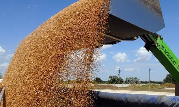 Турция отменила для России пошлины на ввоз пшеницы
