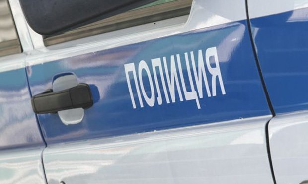 В Петербурге полиция задержала участников «бессрочного протеста»